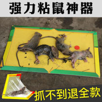 Powerful RAT Board rat paste rat paste rodent catch rat trap artifact stick mouse glue stick home a nest end