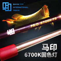 Mayin aquarium fish tank lamp Arowana lamp special color enhancement diving lamp waterproof three primary colors 6700k solid color lighting lamp