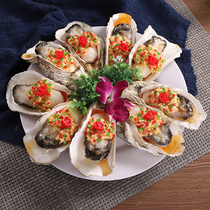 Simulation roast oysters simulation model Each food food model seafood model simulation dishes display dishes customized