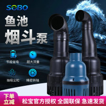 Songbao fish pond water pump circulating filter pump submersible pump pump circulating pump Koi pond large flow pipe pump