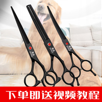 Pet beauty scissors professional hair repair set bending scissors artifact tooth scissors teddy dog hair tools