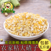 New goods farmhouse corn sticky big ballast northeast ballast new sticky corn ballast large ballast porridge bud rice slag corn
