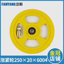 Elevator tensioner 250x20x6004 Otis 250 240 speed limiter bearing 6004 elevator accessories
