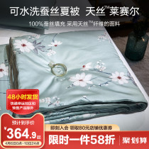 Boyo Machine Washable Silk Quilt 100% Silk Cotton Quilt Core Summer Children Summer Cool Quilt Single Air Conditioning Quilt by Spring and Autumn