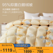 Boyang antibacterial 95 white goose down duvet thickened warm winter quilt single double bed quilt quilt quilt core