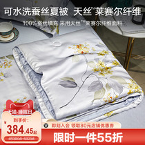 Boyo 100% Silk Summer Cool Quilt Washable Heather Summer Quilt Washable Summer Child Air Conditioning Quilt Core