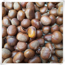 Dry pot chestnuts unsweetened fried chestnuts Bulk vacuum packed Yanshan wool chestnuts Cooked chestnuts Tangshan specialty nut snacks