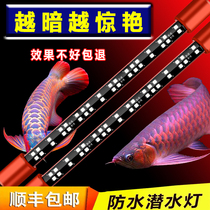 Ma Yin Shen lamp brightening lamp red dragon fish special parrot lamp flagship store lighting fish tank lamp led small waterproof lamp
