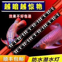 Ma Yin magic lamp Zengyan lamp red dragon fish parrot hair color lamp Aquarium fish tank lamp flagship store led three basic colors