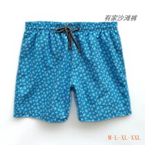 Blue Kids French Turtle vilebrequin Beach Pants Surfing Holiday Quick Dry Swimming Shorts Girls