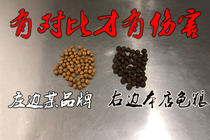 Tortoise grain stone money turtle turtle turtle feed crocodile tortoise food Brazilian tortoise material small turtle tortoise turtle turtle turtle turtle turtle food turtle Turtle Feed