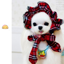 The live room order link ~ cute Japanese and Korean pet clothing popular trend dog supplies