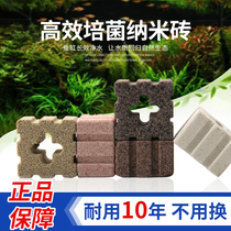 Fish tank filter material nitrifying bacteria House nano quartz light polonami water purification God brick biochemical cultivation small square brick