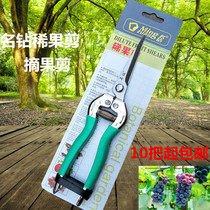 Famous drill fruit scissors gardening scissors flower and wood pruning shears seedlings fruit and vegetable picking cut head cut Mulberry scissors orange shear picking