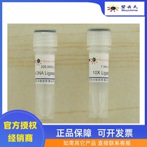 Beyun Tianbeyotime T4 DNA Ligase D7008 scientific research reagent