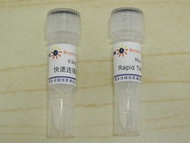 Biyuntian beyotime fast DNA connection kit D7002