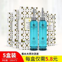 Cold Bronzed Hair Salon Special Hot Hair Salm Hair Styling Lotion electric hair shampoo Smell Cold Scalding Liquid Essence
