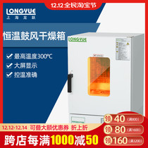 Shanghai Longyue electric constant temperature blast drying oven laboratory industrial oven size oven DHG series