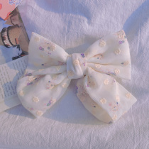 The small frescoed card swimsuit pair with a pair of