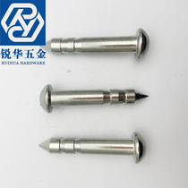 Ruihua surveying and mapping diameter 10mm dot measurement nail settlement observation nail stainless steel carbon steel control point boundary point