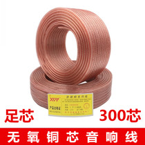 Full Copper Foot Core 300 Core Fever Sound Wire Horn Wire Oxygen Free Copper Sound Box Line Foot Meter