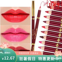 Embroidery lip liner pen 12-color matte waterproof non-bleaching velvet lipstick pen matte makeup explosion-style factory straight hair