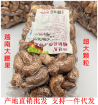 Vietnams new imported salt baked big cashew nuts with skin A large grain nuts Yueqingdao leisure snacks 500g vacuum