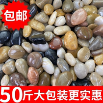 50 Catty Pebble Paving Ground Patio Garden Landscaping Natural Size Stones Rain Flowers Stone Raw Stone Goose Soft Warm Stones