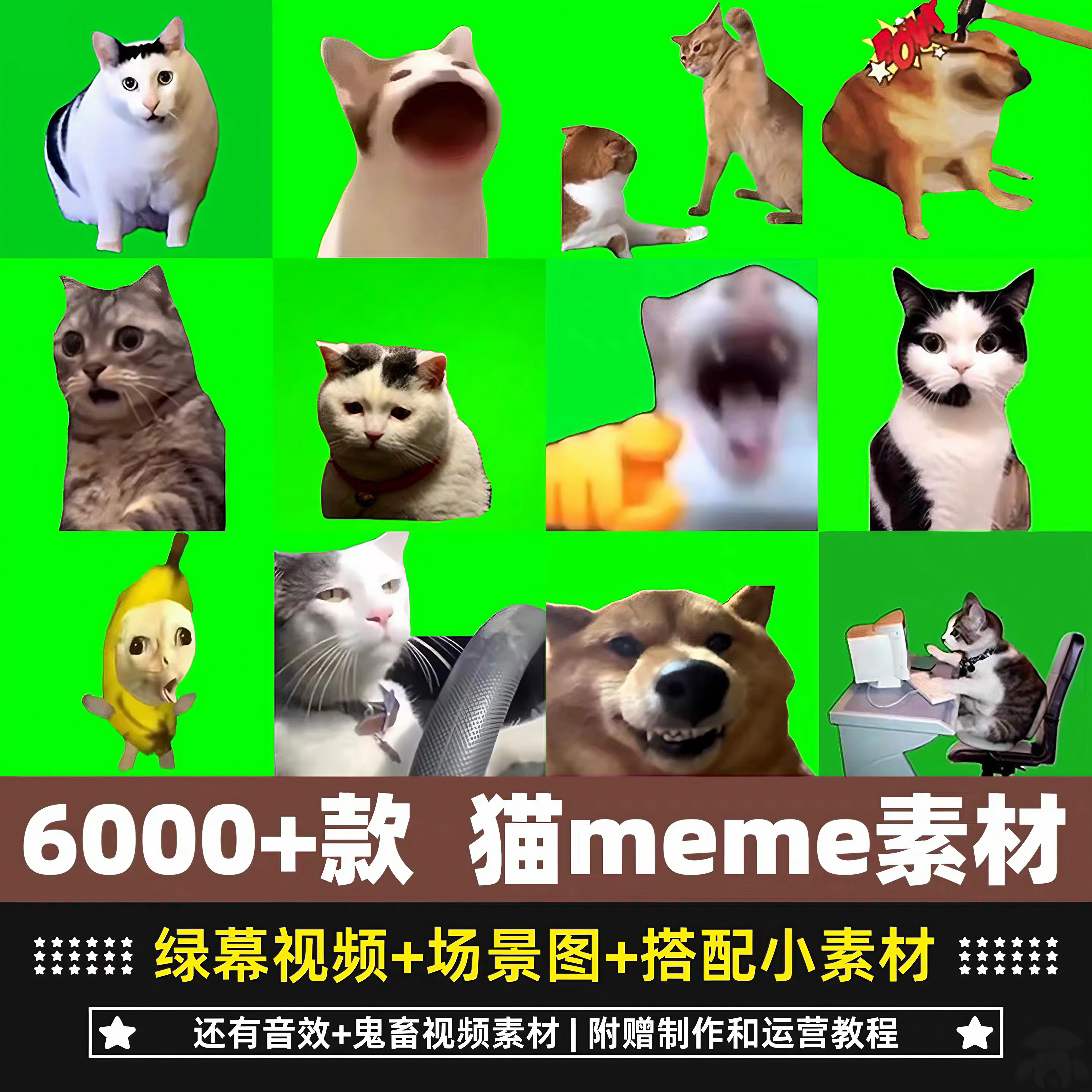 0.30元就能做出爆火猫Meme？绿幕素材神器太香了！_游戏视频_淘宝游戏网, image size:4096x4096