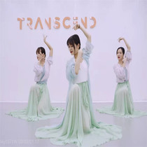 Original classical dance Green Silk Dance dance uniform Chinese dance art test performance costume fairy Hanfu elegant dress custom