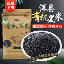 2020 new rice Zhou Da Black Shaanxi Yangxian organic black rice Black glutinous rice Five grains whole grain black rice porridge 5 pounds