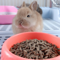 Adult Rabbit Feed Grain Pet Rabbit Nutrient Grain Anti Cocker Dutch pig quality food grain adult 1500 grams