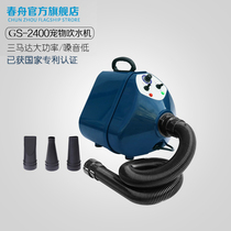 Chunzhou new three-motor high-power GS-2400 water blower Beauty shop hair dryer supplies