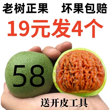 闷尖白狮子头-闷尖白狮子头促销价格、闷尖白狮子头品牌- 淘宝
