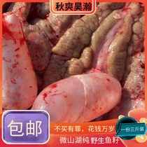 Caviar caesseed sauce fresh live fish mixed fresh frozen fish egg fish egg fish fish White three catties