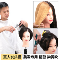 Hairdressing head model full real hair apprentice dummy head mold can be scalded wind blowing model head real hair head model full real