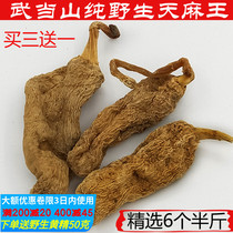 Wudang Mountain Tianma Dry Goods Wild premium Tianma flakes Ultra-fine Tianma powder Non-Yunnan Zhaotong Tianma 250g