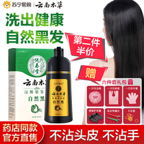 Yunnan Materia Medica 199]Wash black non-stick scalp water color hair dye natural black shampoo plant extract