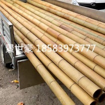 Decoration and decoration anti-corrosion bamboo ceiling partition wall fence erection dance bamboo pole bamboo pole Bamboo Bamboo pole bamboo
