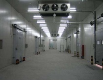 Fresh storage Quick-frozen storage Blood vaccine fresh storage Medical storage Chengdu Sichuan can be customized cold storage full set of equipment