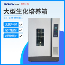 Lichen Technology large biochemical incubator mold bacteria industrial laboratory electrothermal constant temperature plant seed processing