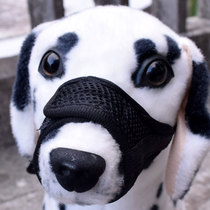 Nylon mesh dog mouth cover anti-bite mask anti-eating anti-call Teddy Golden Labrador small and medium-sized water