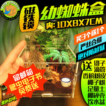 Small Spider box reptile acrylic pet spider larval feeding box scorpion centipede pet box 10X8X7