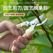 Boost Scissors Home Fruit Tree Pruner Pruner Cut Flowers Fruits Cut Branches Greening Grafted Garden Gardening Scissors
