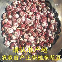 Guidong Huadou authentic Hunan Chenzhou Guidong specialties 21 years Emperor champion dispelling dampness kidney bean farm home 500g