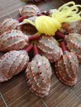 Natural conch shell whistle horn blowing conch shell crafts whistle toy factory direct childrens gifts