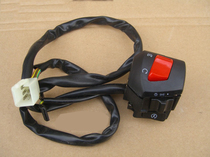 Jinan light riding Tibetan mastiff QM200GY-B right electrical switch (second generation)