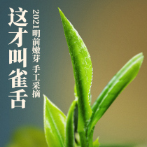 Cherish 2021 New tea Bird tongue Mingqian Tea Premium Alpine Green Tea Spring tea leaf buds Bamboo leaf hair tip Bulk 250g