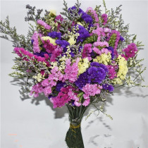 Forget-me-not long branches dry bouquet lover grass crystal flower combination living room real flower arrangement home decoration decoration 20 branches