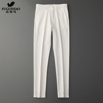 Rich bird cold wind mens pants high-end sense of design casual pants mens striped summer pants mens ruffian handsome spring and summer models